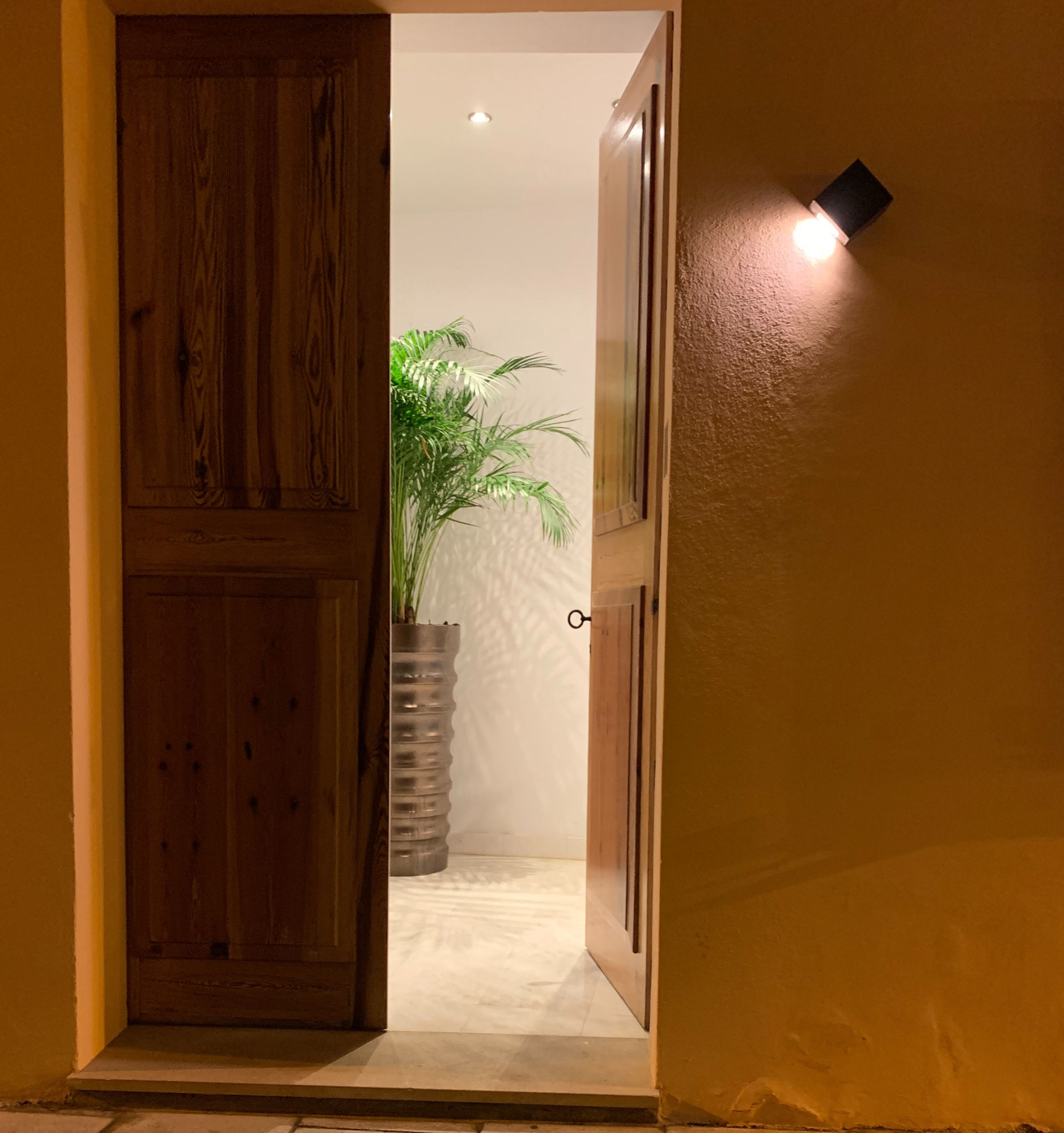 Open wooden doorway, a plant in the hall beyond